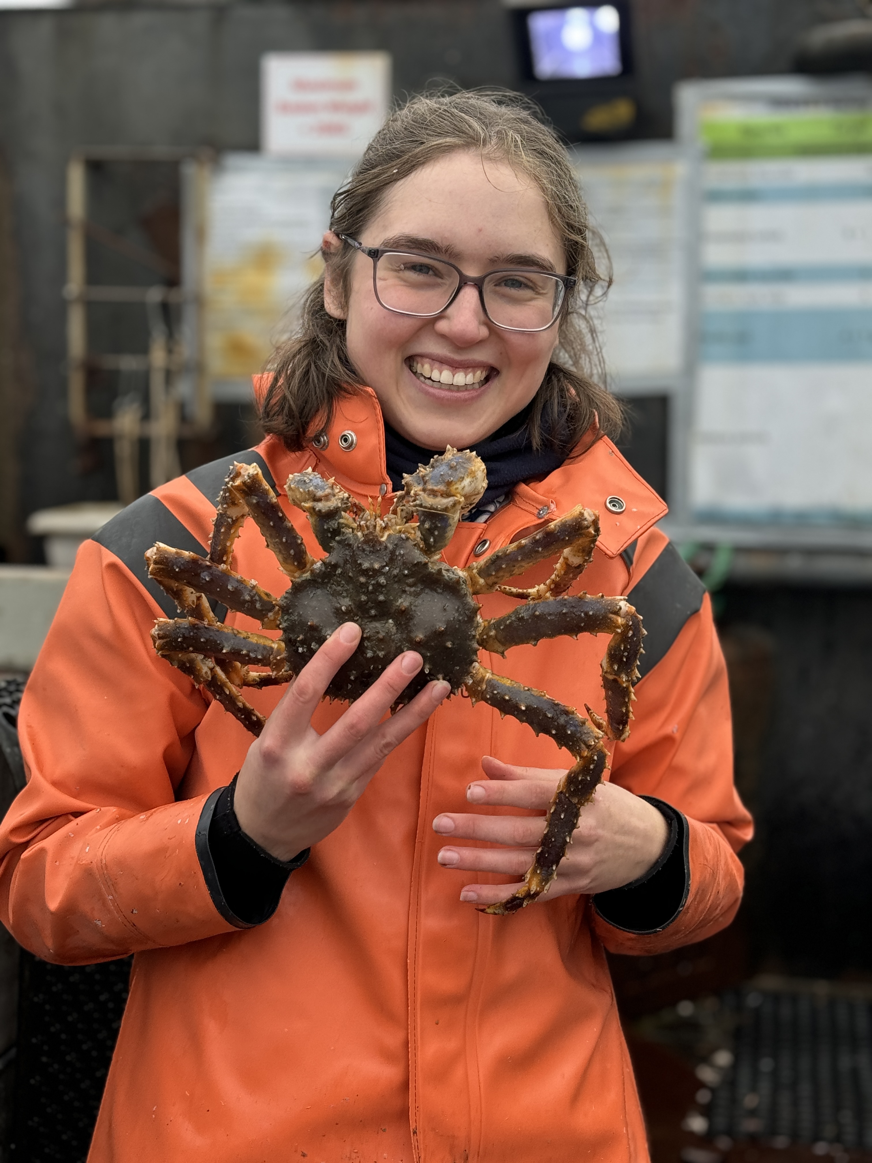 Laurie w blue king crab
